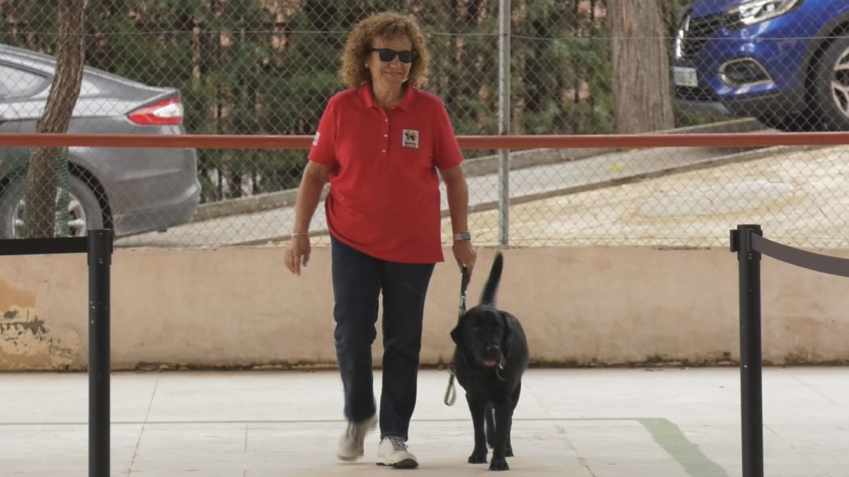 La ONCE celebra la Jornada Mundial del bastón blanco