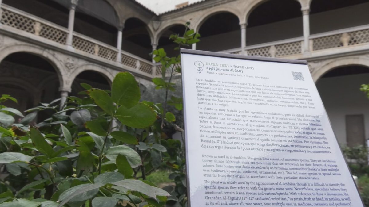 El legado botánico de la España Islámica, en el Museo de Santa Cruz